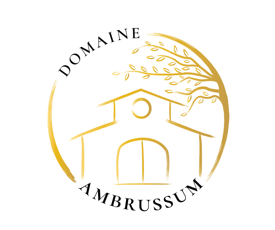 https://www.domaine-ambrussum.com/